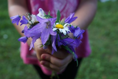Child giving flowers